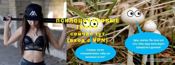 ALPHA-PVP Алексин