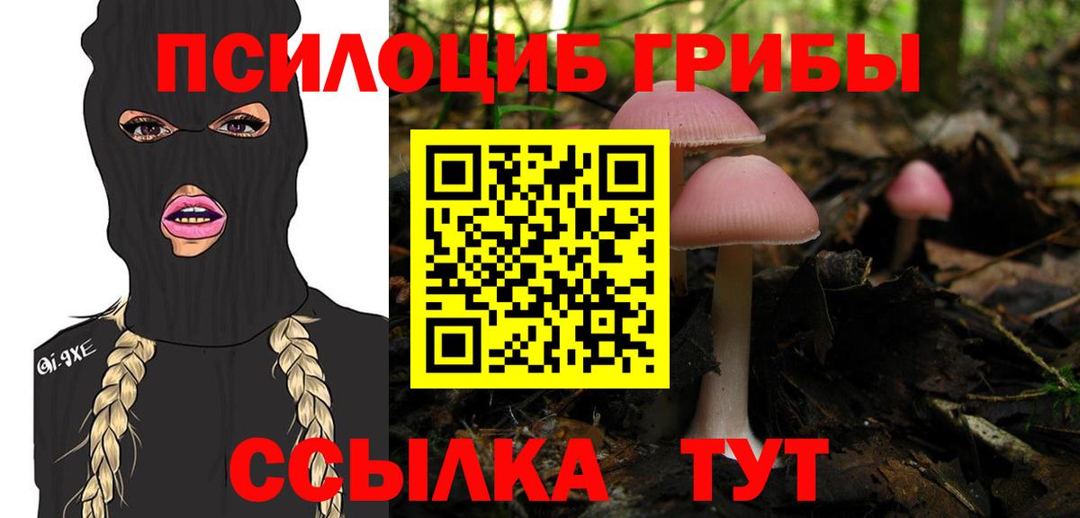 Псилоцибиновые грибы MAGIC MUSHROOMS Похвистнево