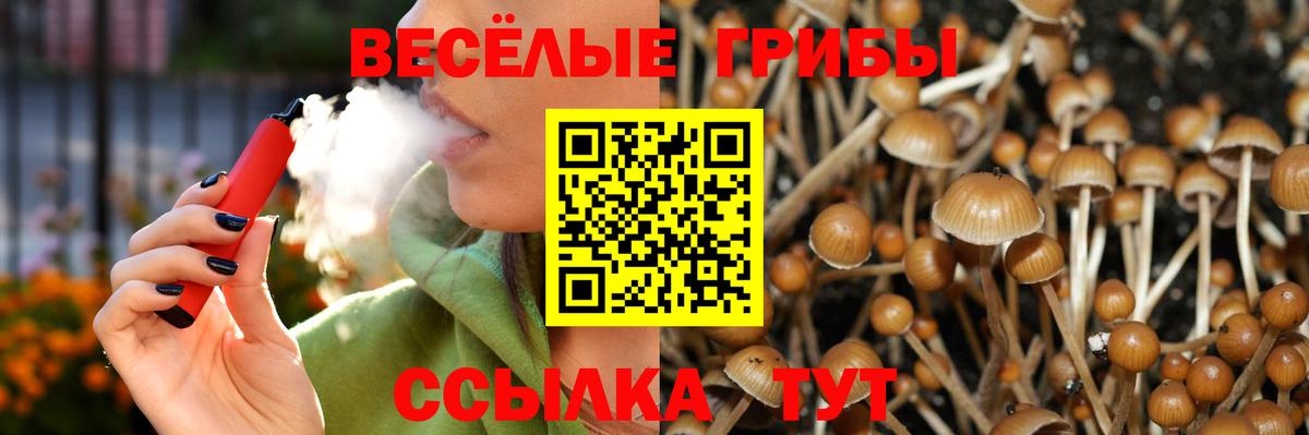 цены   Галлюциногенные грибы мицелий  Вход с VPN  Похвистнево 